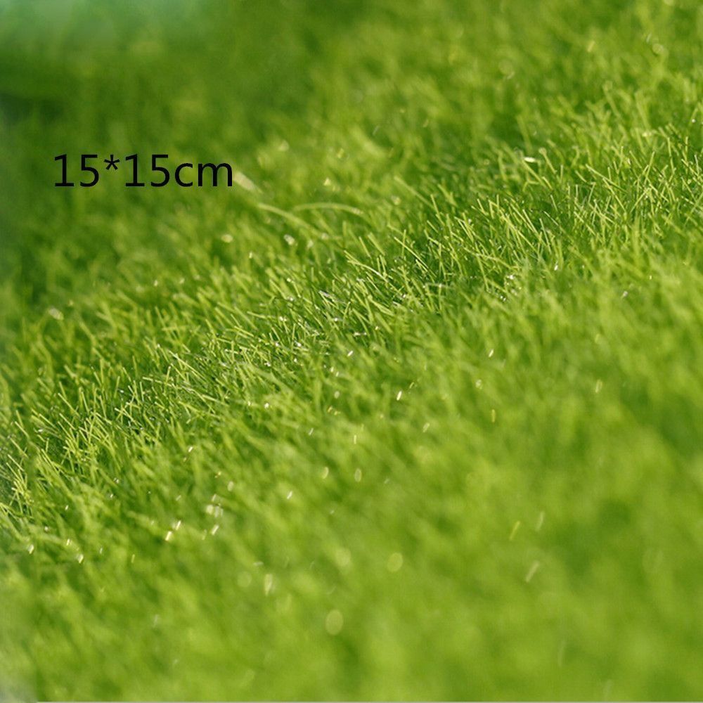 Ecological Lawn Decor Garden O - đánh giá và giá Terrarium Moss Art