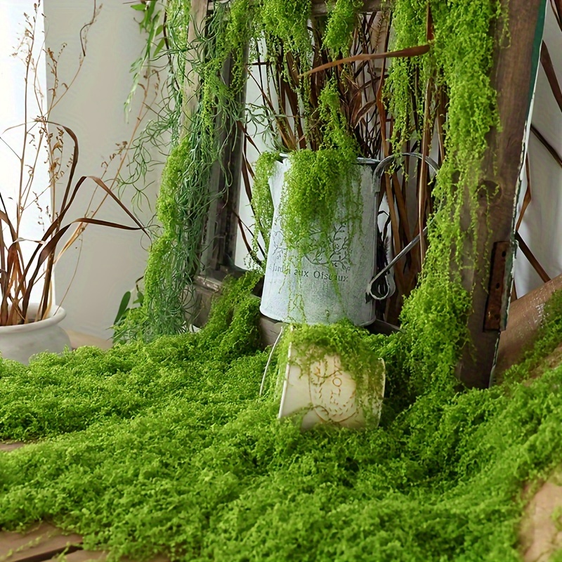 1pack Artificial Fake Moss, 1. - đánh giá và giá Terrarium Moss Art