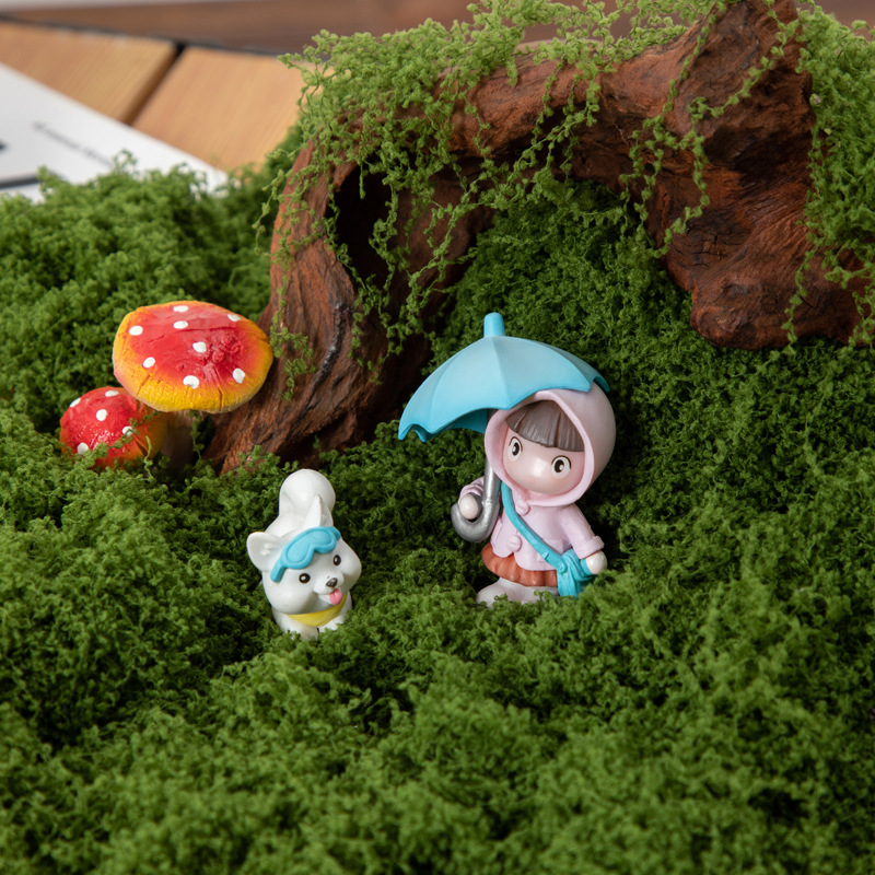 200g Eternal Life Moss DIY Cra - đánh giá và giá Terrarium Moss Art