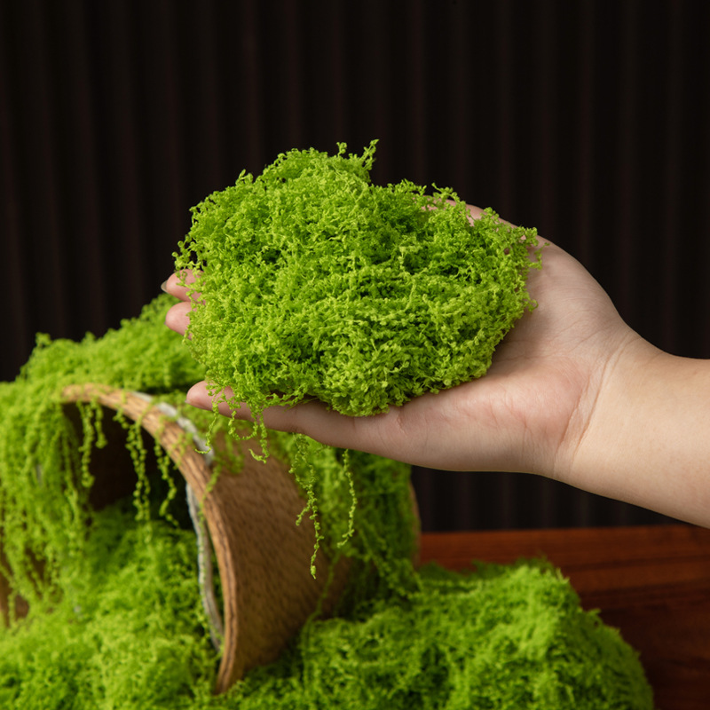 200g Eternal Life Moss DIY Cra - đánh giá và giá Terrarium Moss Art